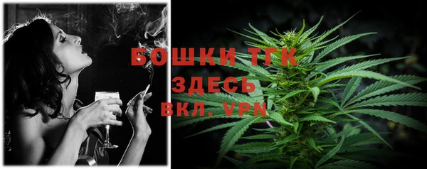 твердый Аркадак