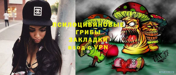 mdpv Пестово