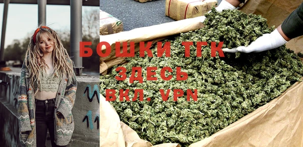 PSILOCYBIN Богданович