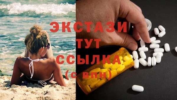 твердый Аркадак