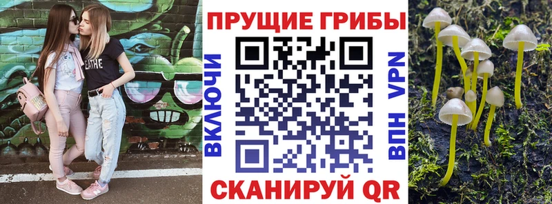 Галлюциногенные грибы GOLDEN TEACHER площадка формула Свирск